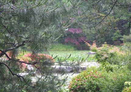 Japanese Garden