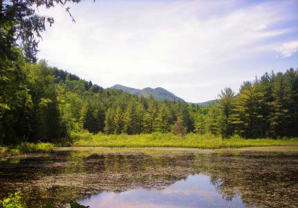 Mountain Lake