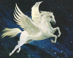 Pegasus