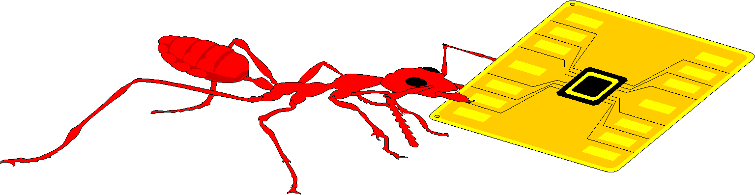Red Ant web design logo