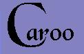 caroobullet.jpg (2414 bytes)