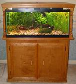 40 gallon tropical fish tank cabinet