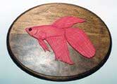 intarsia betta, tropical fish