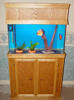29 gallon diy fish tank stand