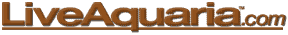 aquatic plants pictures and care