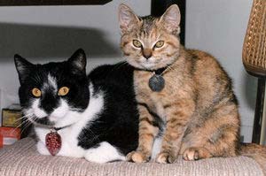 Spike and Ginger