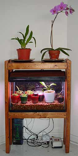 terrarium