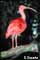 nature photography