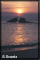 sun rise pictures