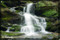 stream photography