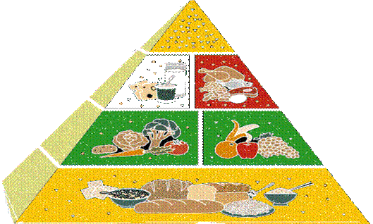 piramide alimenticia