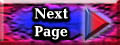 Next Page