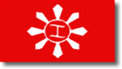 Official Flag of the De Facto Government