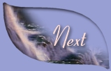 Next