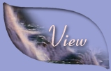 View Guestbook