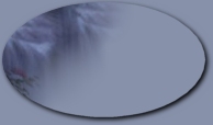 An empty button