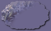 An empty button