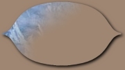 An empty button