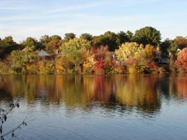 My neighborhood lake