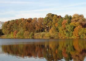 My neighborhood lake.