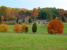 At the foot of the Sugarloaf Mountain