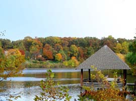 My neighborhood lake