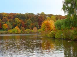 My neighborhood lake