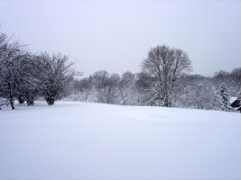 A West view from my backyard.&nbsp; Snow storm 2/11/2006