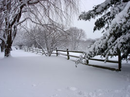 Snow storm 2/11/2006
