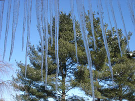 2/12/2006