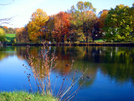 My neighborhood lake, 2007