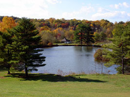 2007