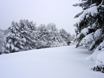 Winter 