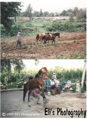 San Agustin, Mexico 