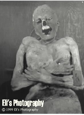 Adult mummy from Guanajuato Mexico