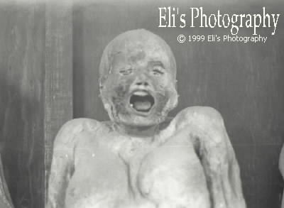 close up to another adult mummy