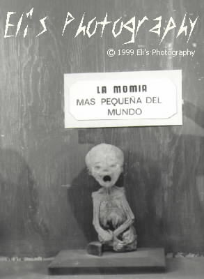 Smallest mummy