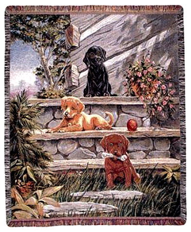 tapestries,tapestry wall hangings,wall tapestries,wall decor,decorative aubusson pillows,the pillows,throws,blankets,home decor