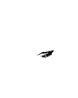 Elvis B&W Animation