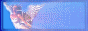 my home page