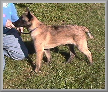 Perry 14 weeks