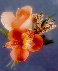 Corsage