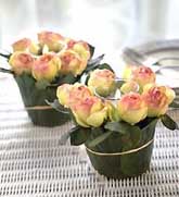 Centerpiece