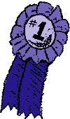 1st prize image
