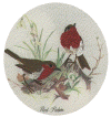 robin.gif (65336 bytes)