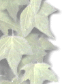 A test image