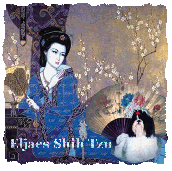 �� Eljaes Shih Tzu