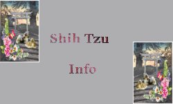 Info