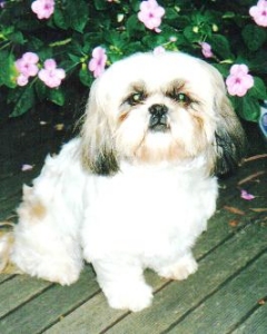 Nikki clipped