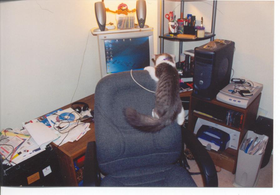 Our favorite chair-crawler...
